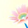 1379.gif